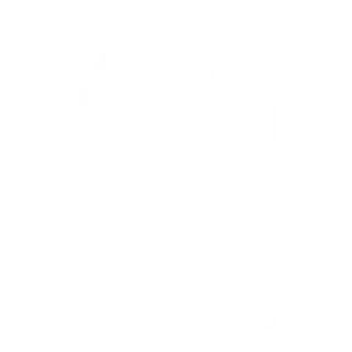 icône sélection